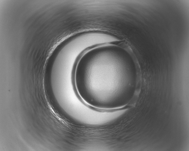 X0000085730728200703301401