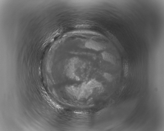 X0000085730729200703301401