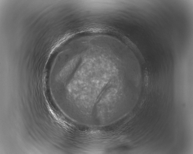 X0000085730730200703301401