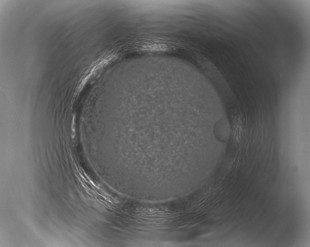 X0000085730731200703301401