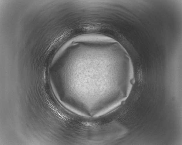 X0000085730733200703301401