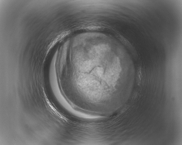 X0000085730734200703301401