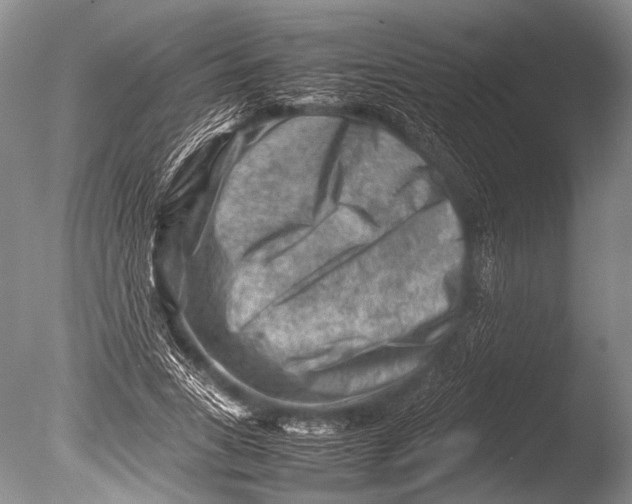 X0000085730735200703301401