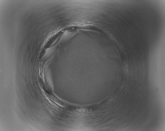 X0000085730736200703301401