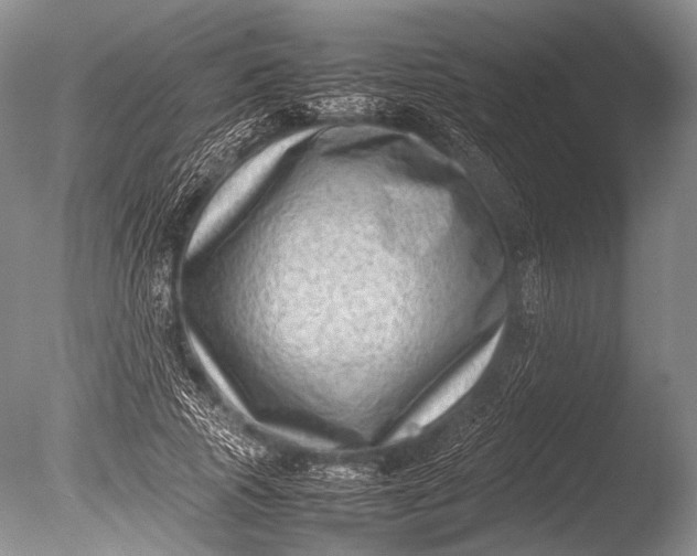 X0000085730737200703301401