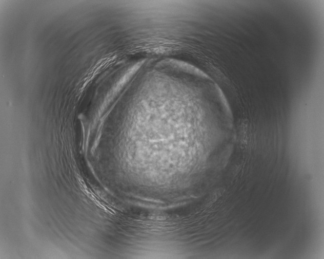 X0000085730738200703301401