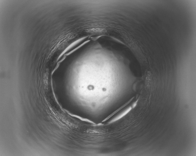 X0000085730739200703301401