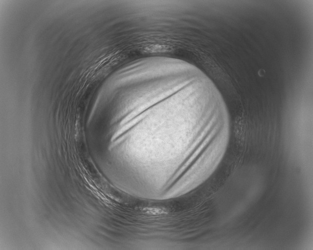 X0000085730741200703301401