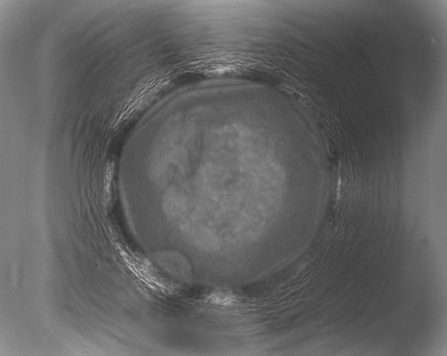 X0000085730742200703301401