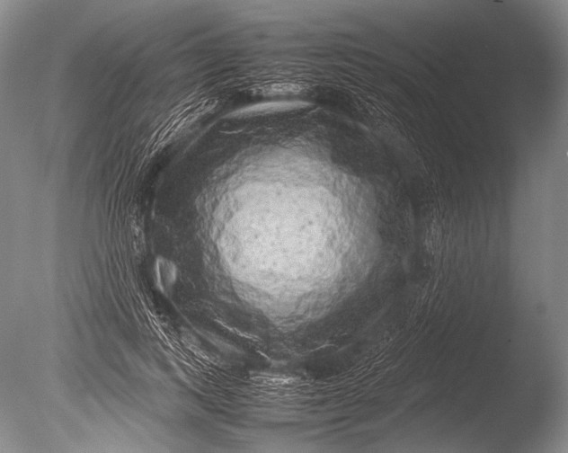 X0000085730743200703301401