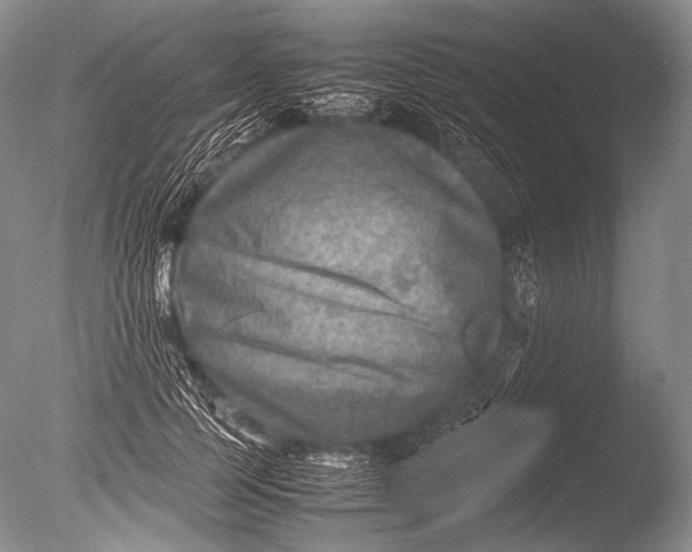 X0000085730745200703301401