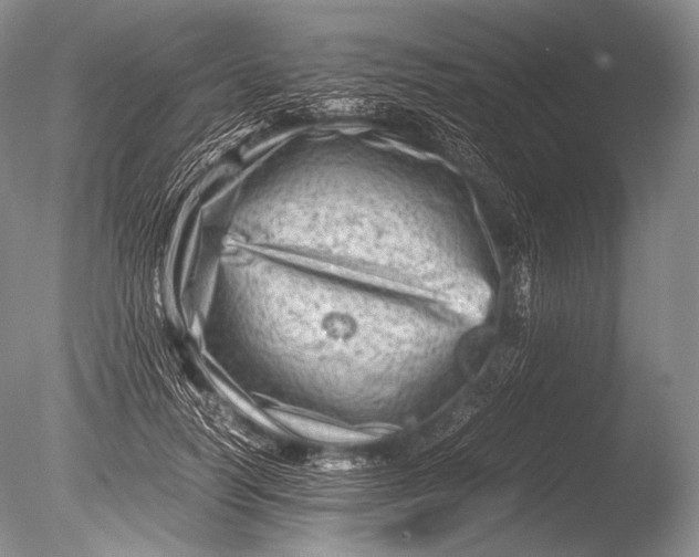 X0000085730746200703301401