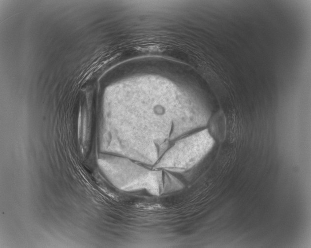 X0000085730747200703301401