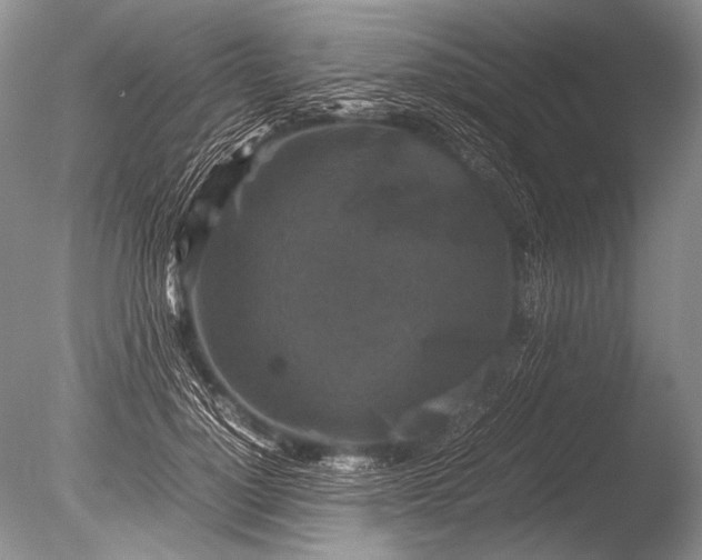 X0000085730748200703301401