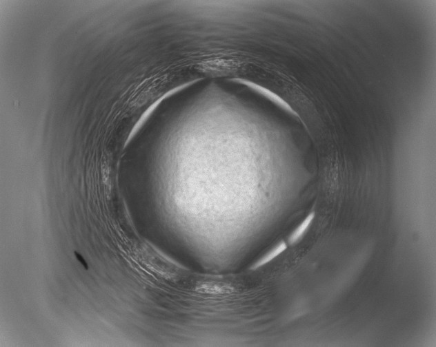 X0000085730749200703301401