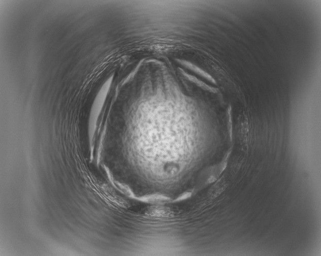 X0000085730750200703301401