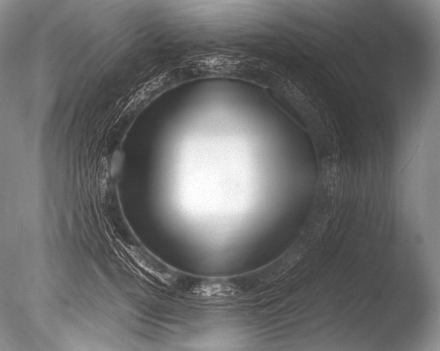 X0000085730752200703301401