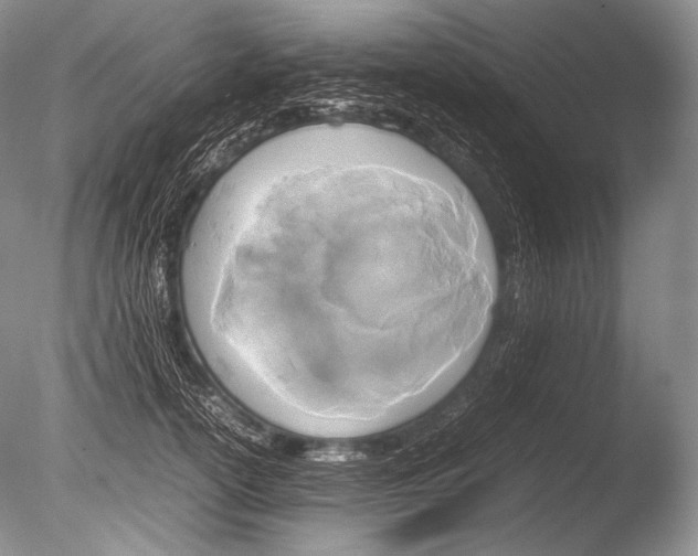 X0000085730754200703301401