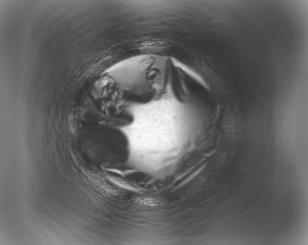 X0000085730755200703301401