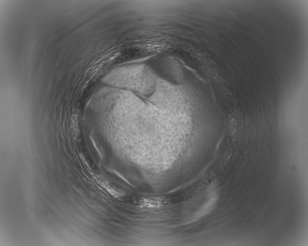 X0000085730757200703301401