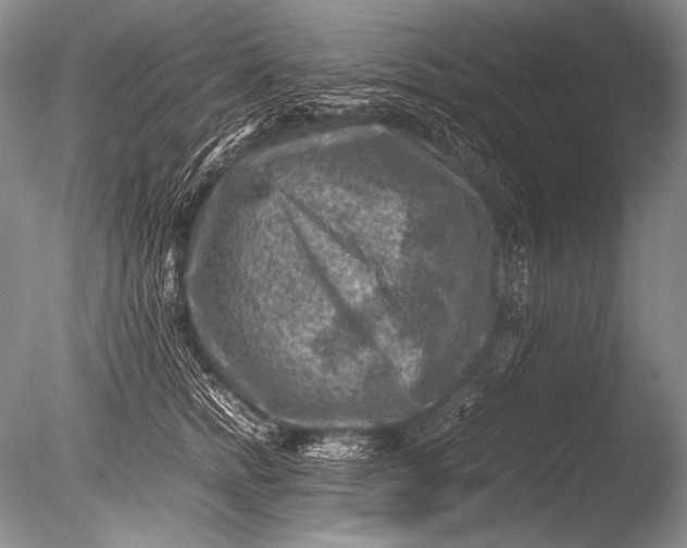 X0000085730758200703301401