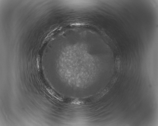 X0000085730760200703301401