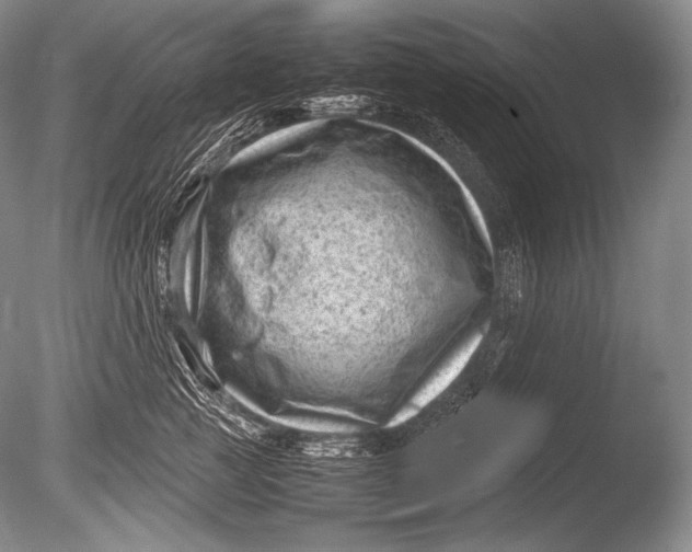 X0000085730761200703301401