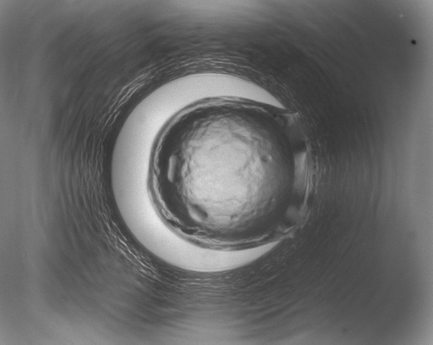 X0000085730762200703301401