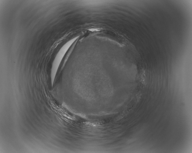 X0000085730763200703301401