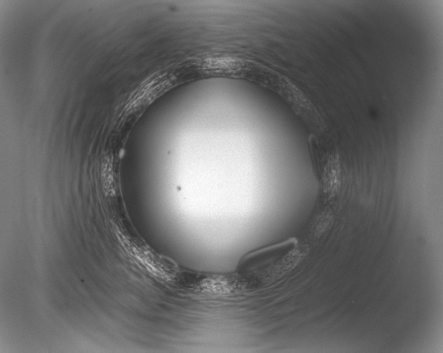 X0000085730764200703301401