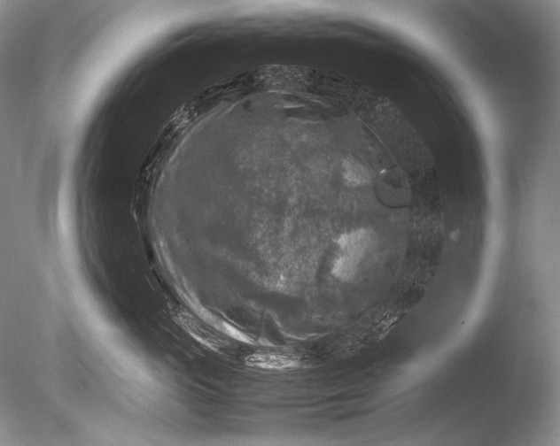 X0000085730765200703301401