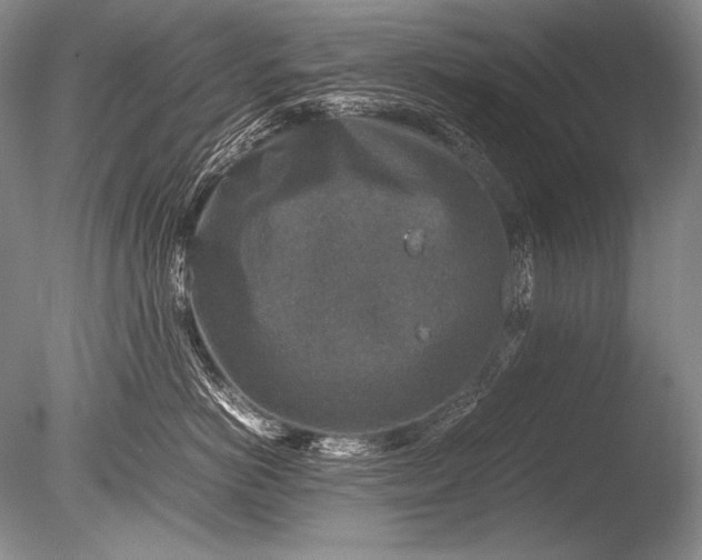 X0000085730766200703301401