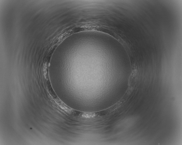 X0000085730767200703301401