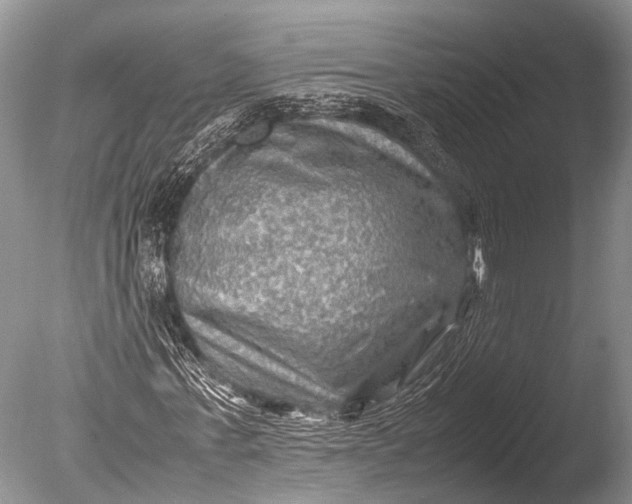 X0000085730771200703301400