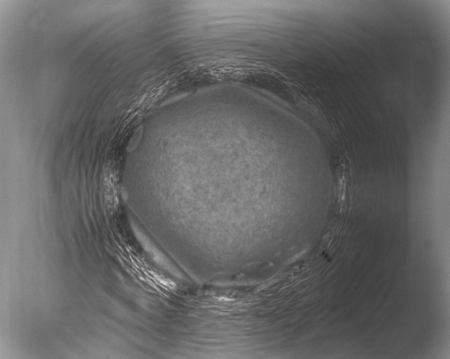 X0000085730772200703301400