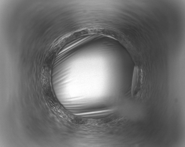 X0000085730773200703301400