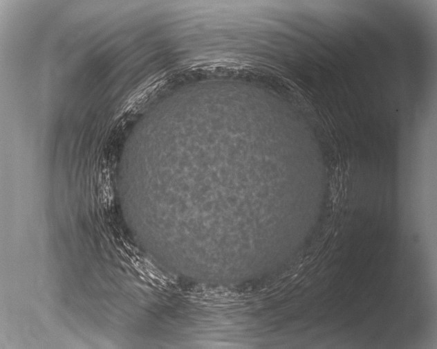 X0000085730774200703301400