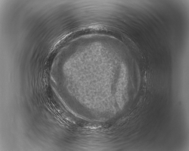 X0000085730776200703301400