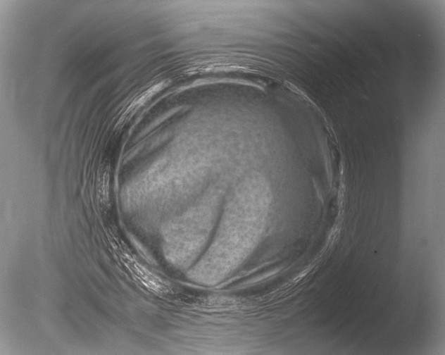 X0000085730777200703301400