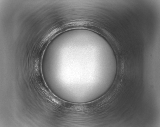 X0000085730778200703301400