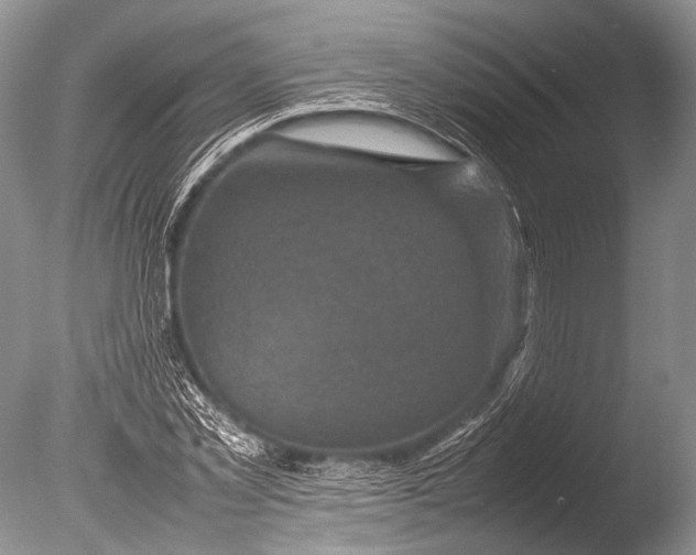 X0000085730781200703301400