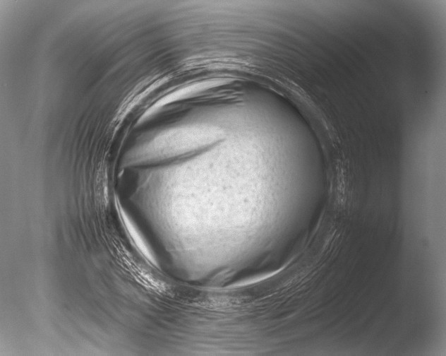 X0000085730782200703301400