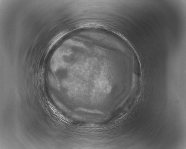 X0000085730783200703301400