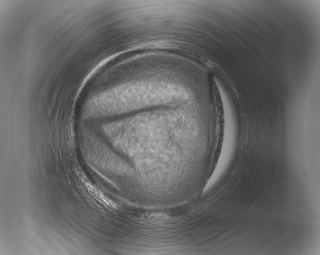 X0000085730784200703301400