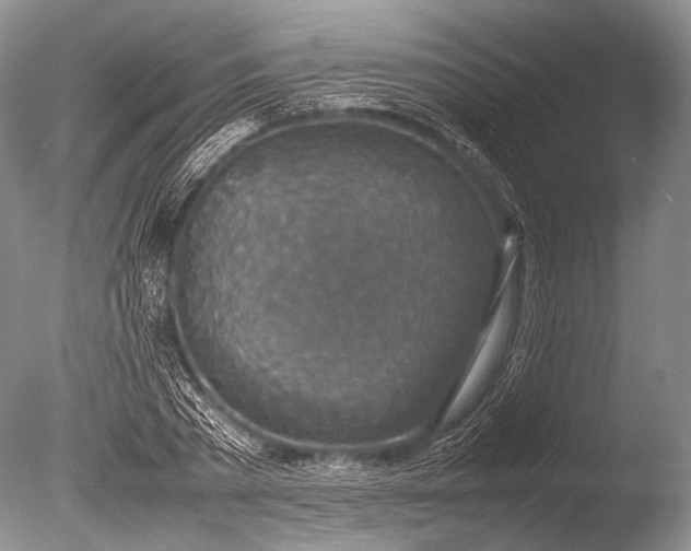 X0000085730785200703301400