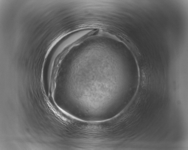 X0000085730788200703301400