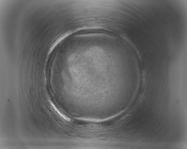 X0000085730789200703301400