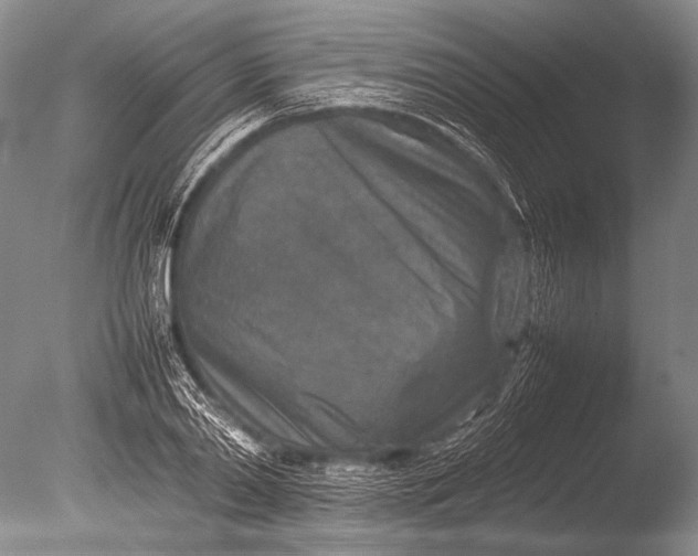 X0000085730790200703301400