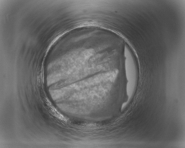 X0000085730791200703301400