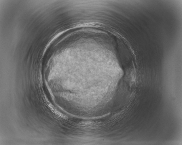 X0000085730792200703301400